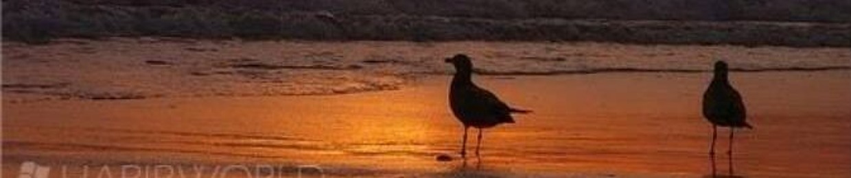 دينا وجيه