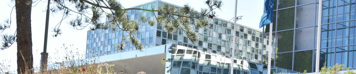 #Random with Irene Abalo Otto @AbaloIrene1