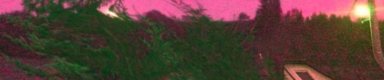 wanderhereforya