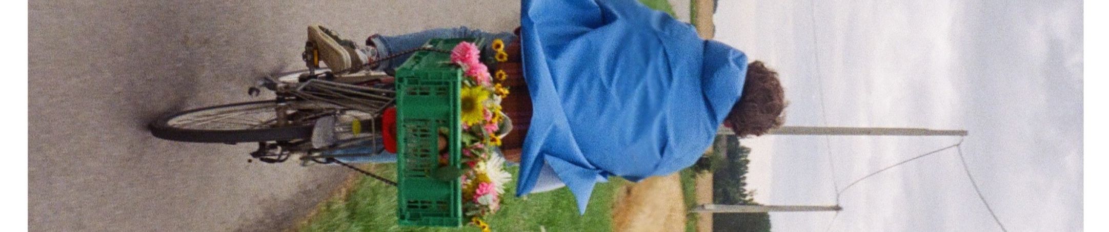 Dans Les Yeux D Emilie By Vernon Verdure