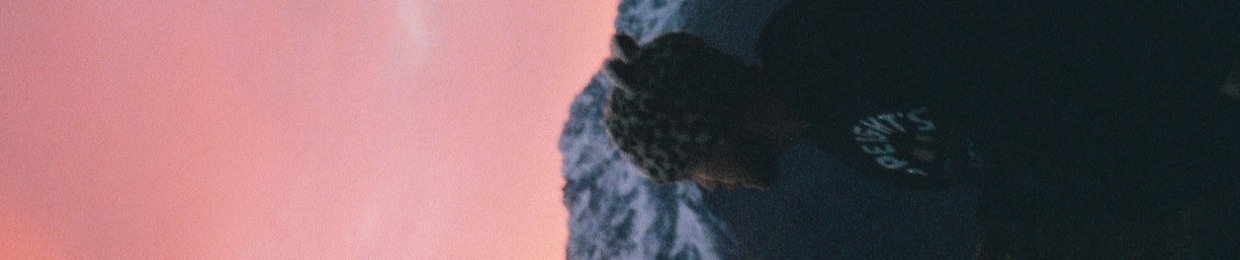 vik