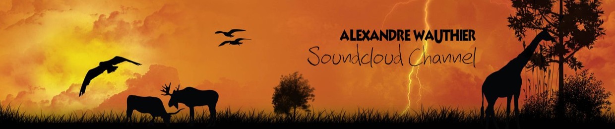 Alexandre Wauthier