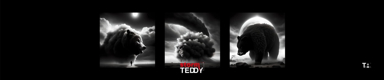 Teddy Storm