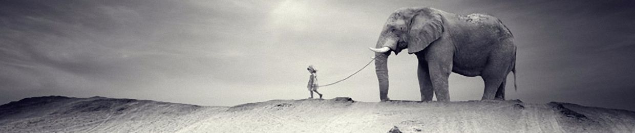 Laborial - (R Lima & R Nagatani)