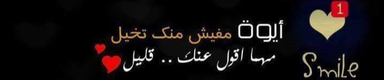 Mohamed BN Fawzi