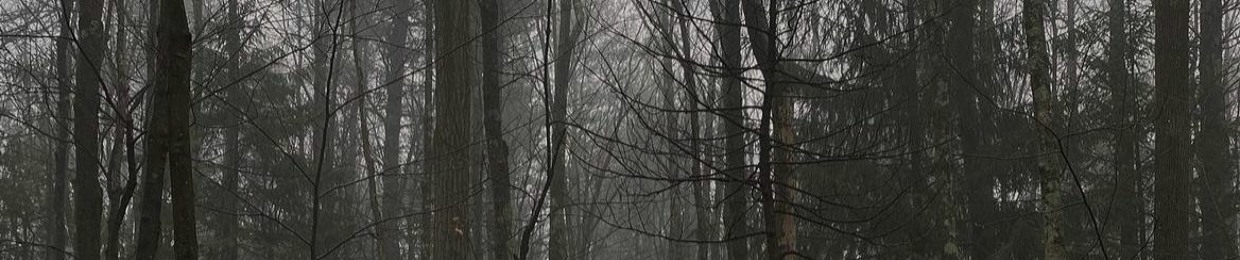 nymphnoise