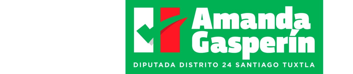 Candidata Distrito 24 Santiago Tuxtla