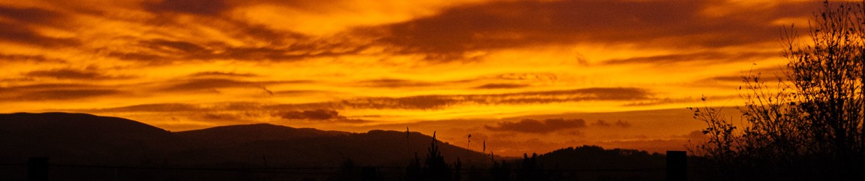 Đinh nguyễn Quốc Bình