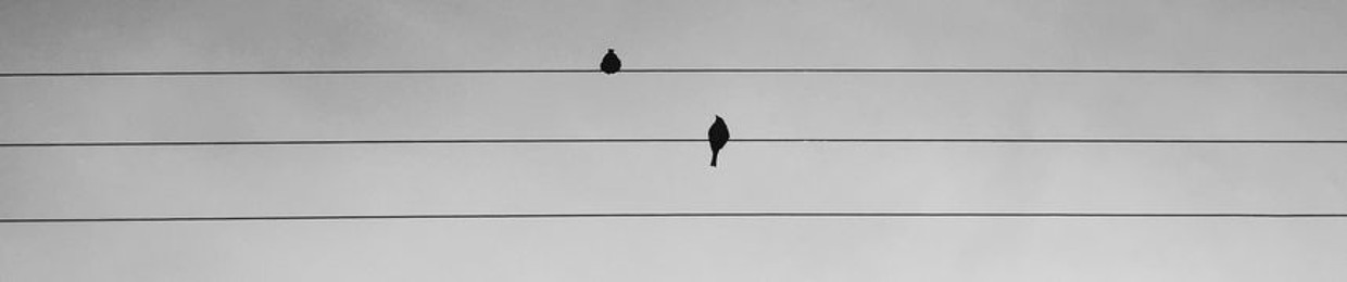 The Way Up