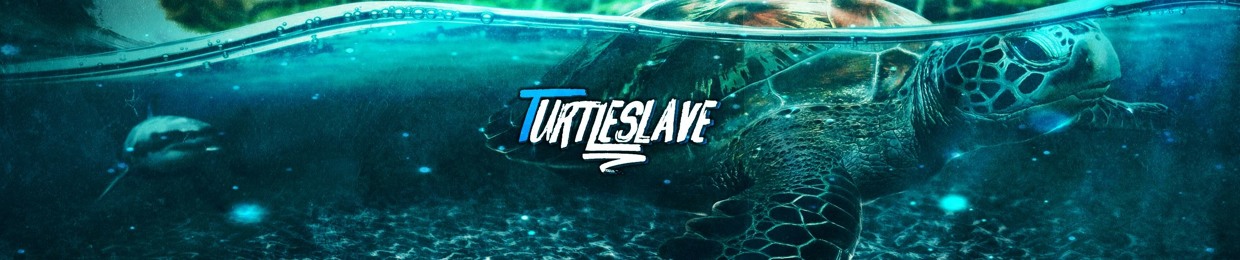 Turtle Slave