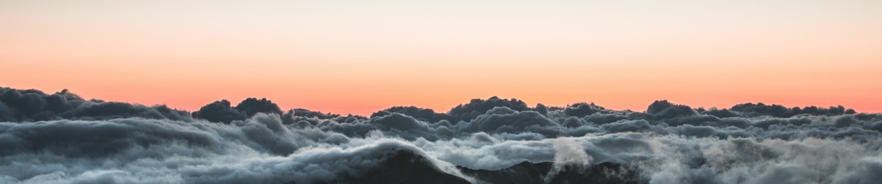 For sh*ts and giggles