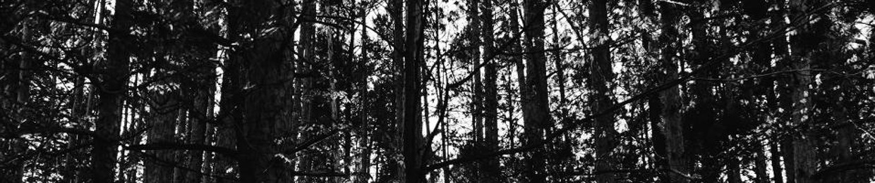 BaseCloud Recordings