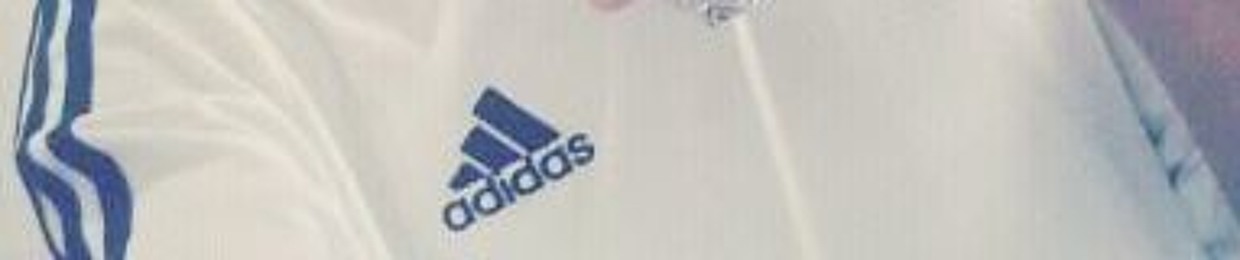 hazard sjt