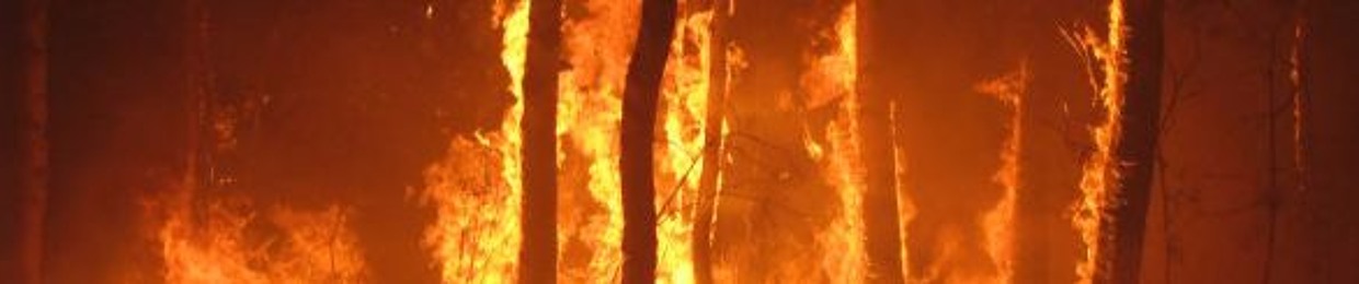 $HADOW RAP $POTLIGHT