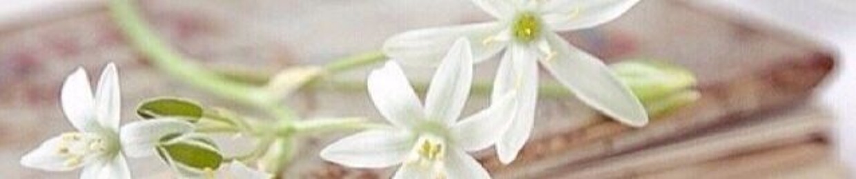 طمأنينة القرآن