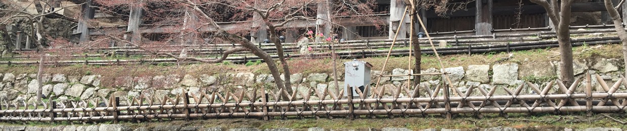 Miho  Matoba