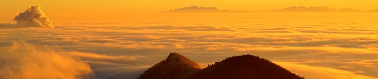 Muhammad Shahmeer Akbar