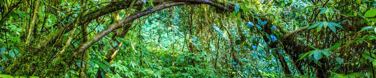 Masterpeace Recordings.