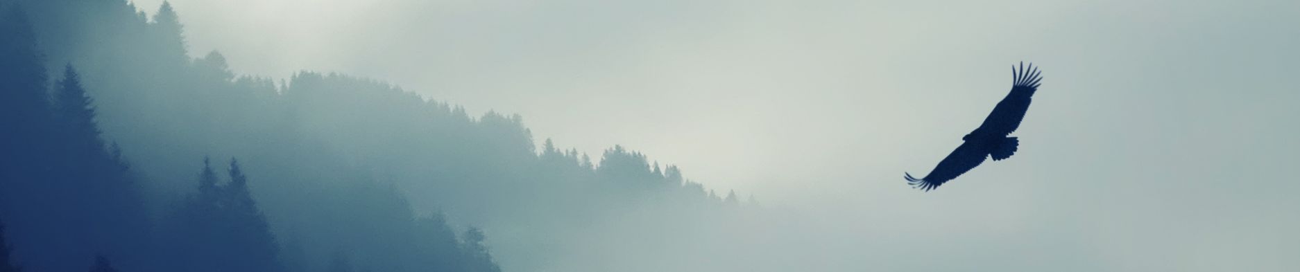 SoundCloud banner for @wadfur