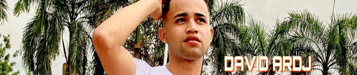 DAVID ARDJ