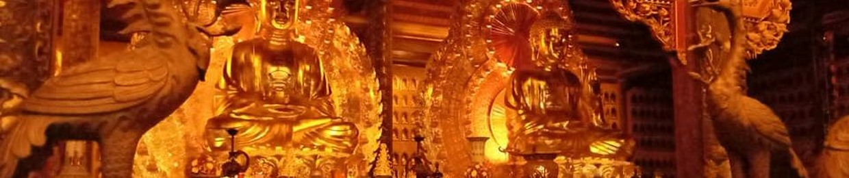 Hoa Rơi Cửa Phật