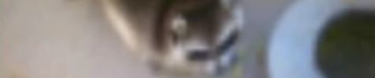 loomy