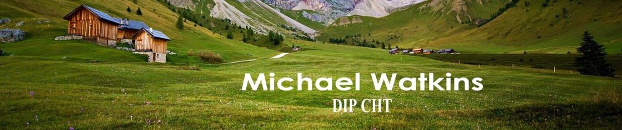 Michael Watkins
