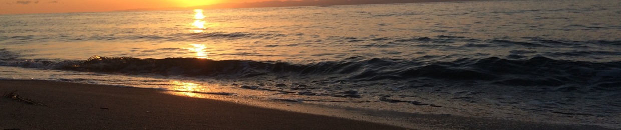 らむだ【Appetite records】