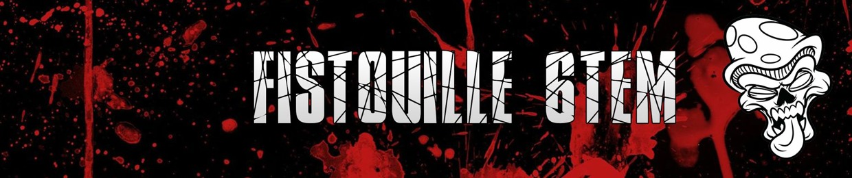 FISTOUILLE 6TEM