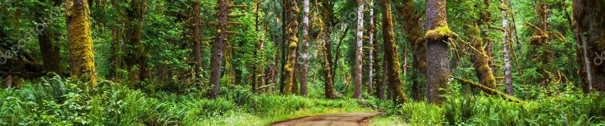 Nathan Nathan Santos