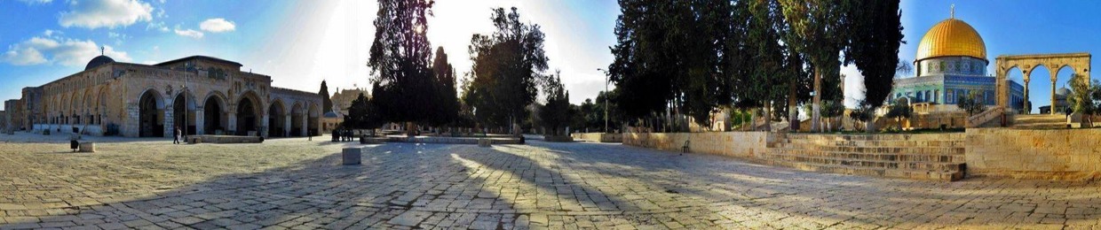 عاصم مصطفى الشنار