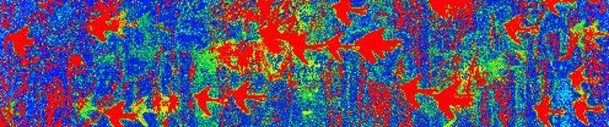 RE-GENERATION-COLLABORATION