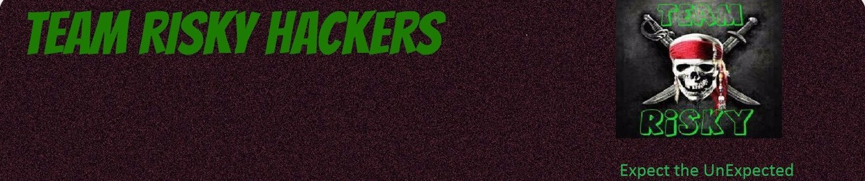Team Risky Hackers