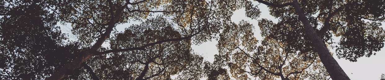 amr abdeen mohamed- عمرو عابدين