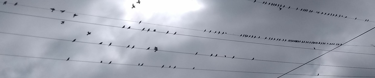 MellowDee Prototype X