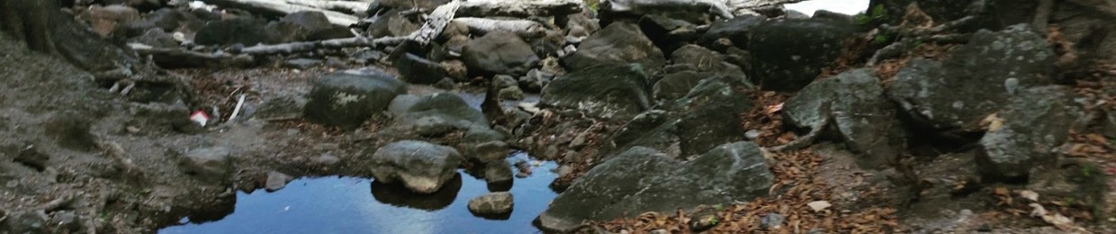 Inshan Meahjohn Former Green Fund CEO