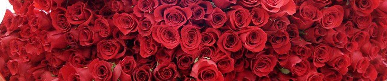 دعاء الهلباوى