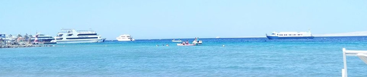 Ahmed Rabie Zsc