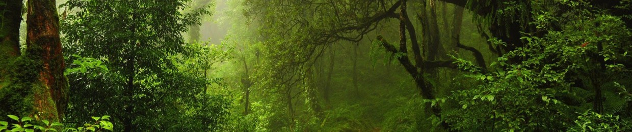 Gr33n Forrest