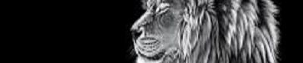 DanYell Lions