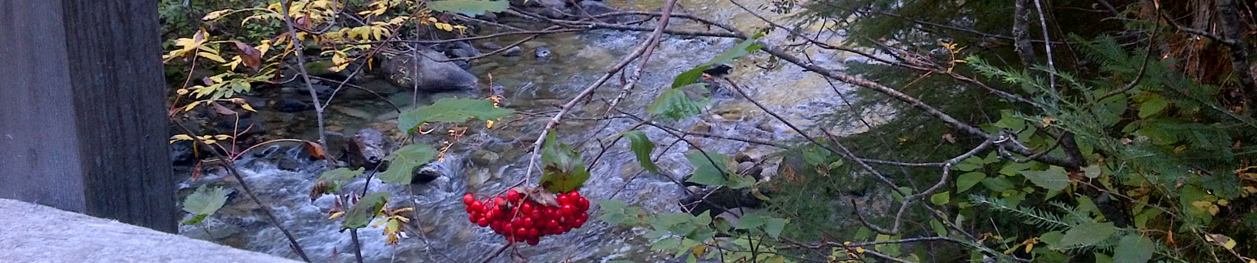 Stream roadcrap music | Listen to songs, albums, playlists for free on  SoundCloud