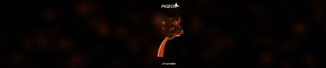 Pigeon