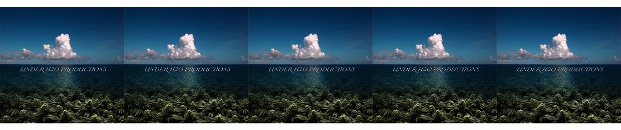Under H20 Productions