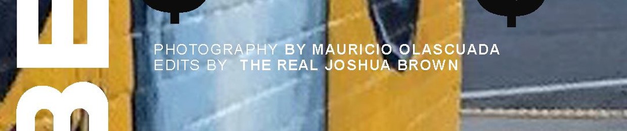 The Real Joshua Brown Prospers