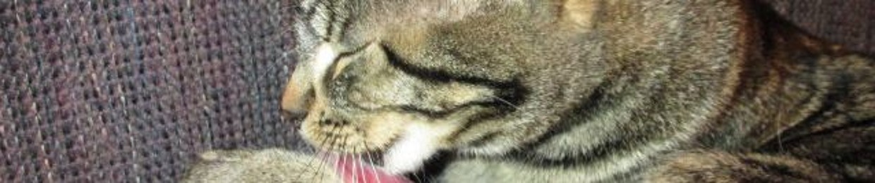 Milla