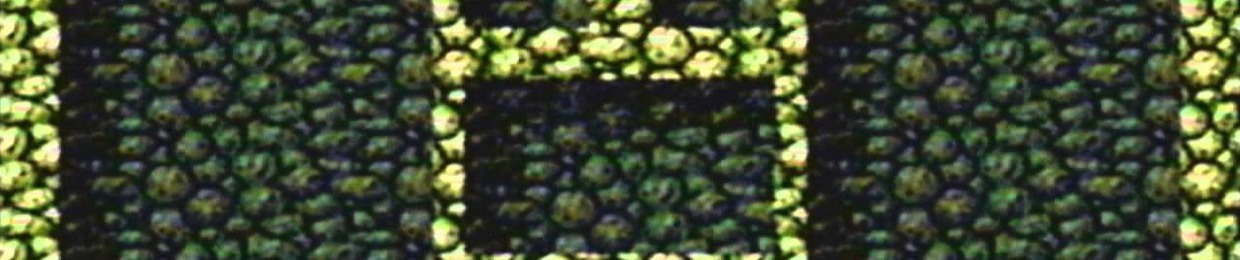MinerTurtle45
