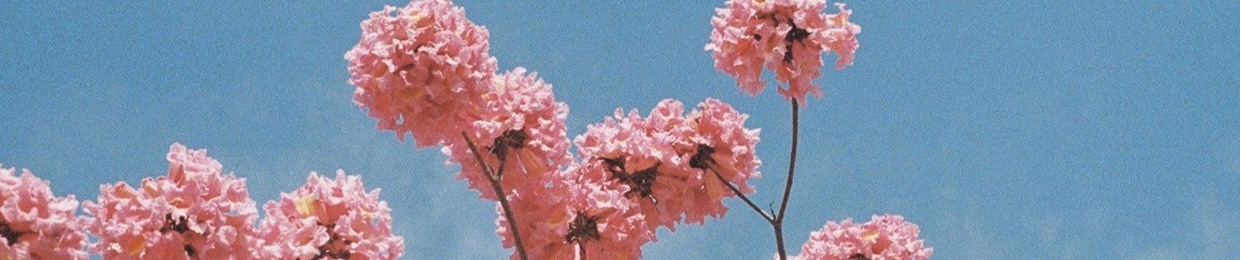 User 591108926
