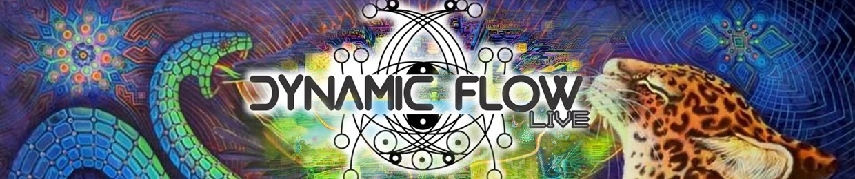 Dynamic Flow
