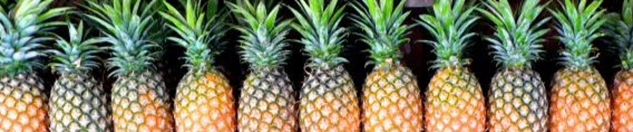 Pine "O" Just