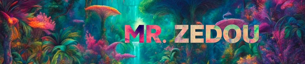 Mr Zedou